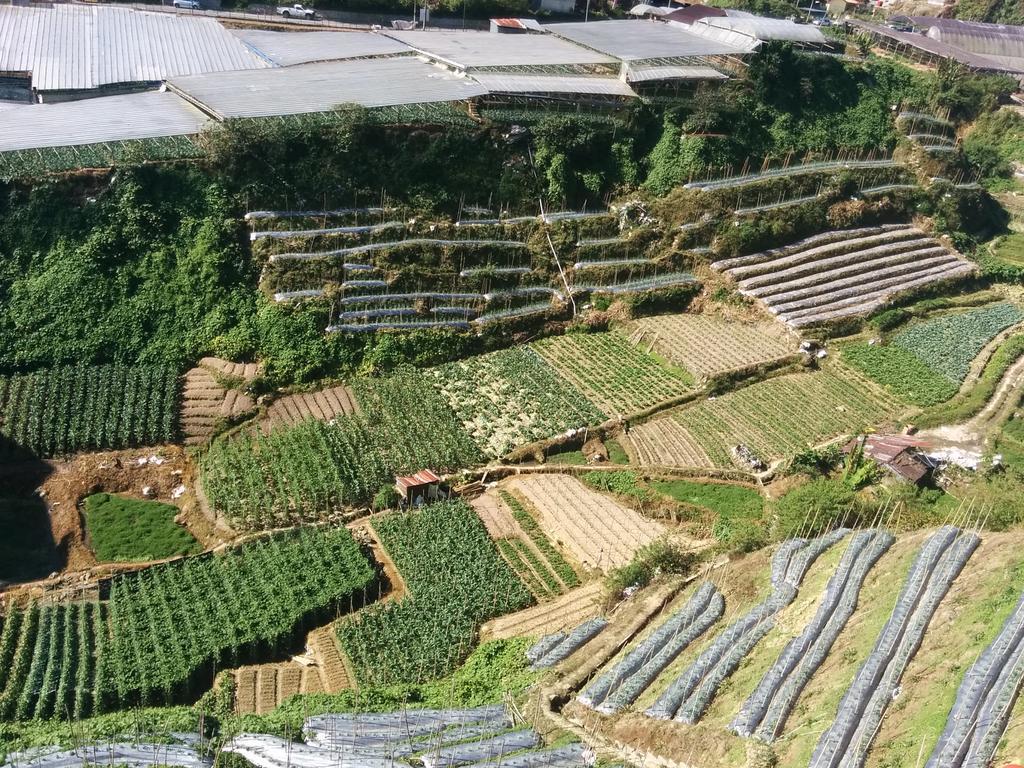 Mary Apt @ Equatorial Hill Resort Cameron Highlands Exteriör bild